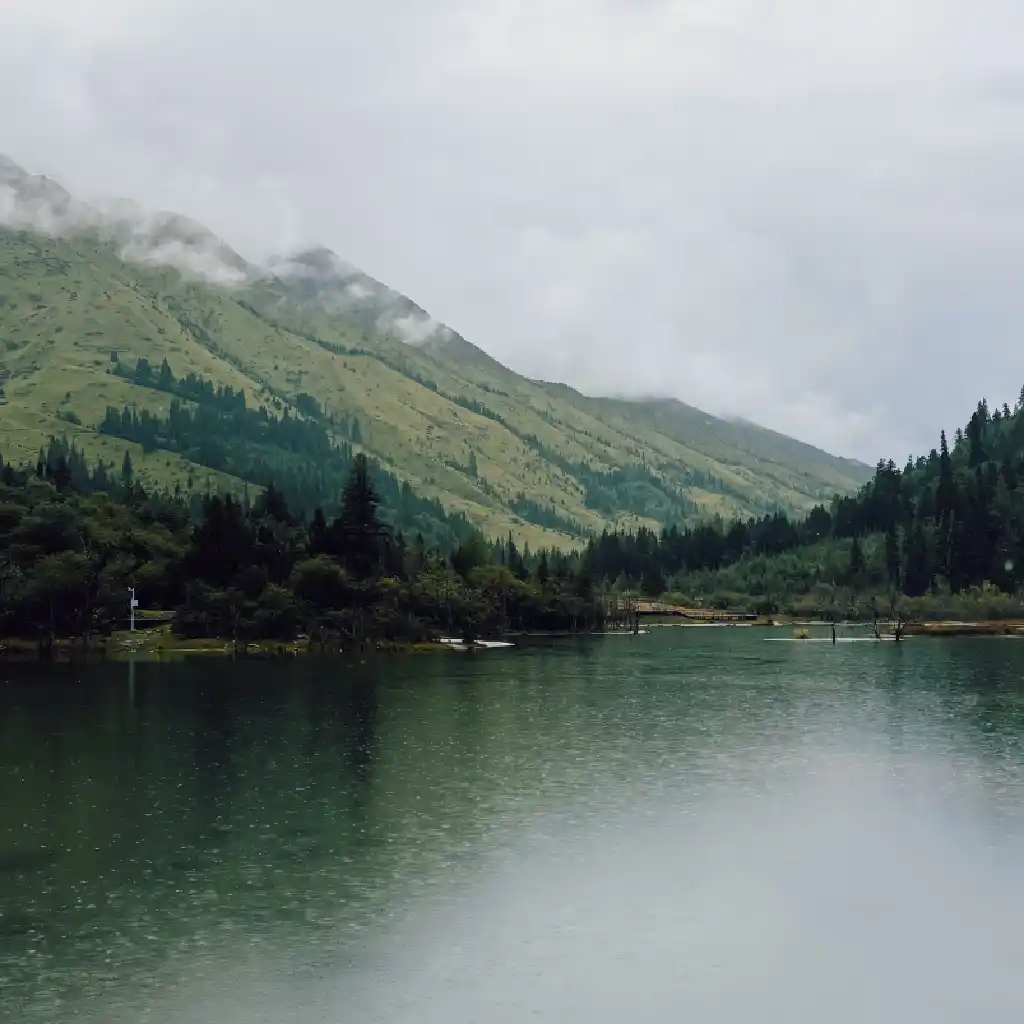Foggy Mountain Lake