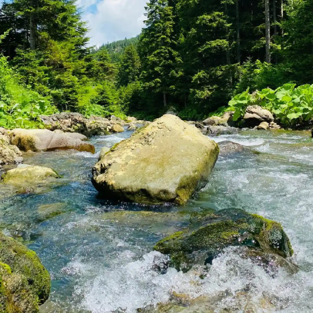 Rocky River Rapids