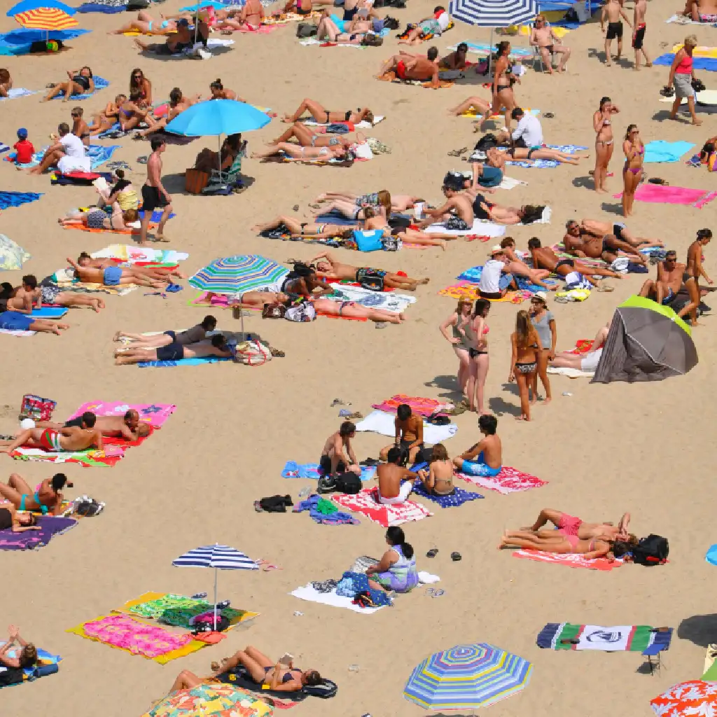 Busy Beach Day